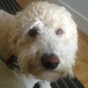 John Culliton - @back9mully - Twitter