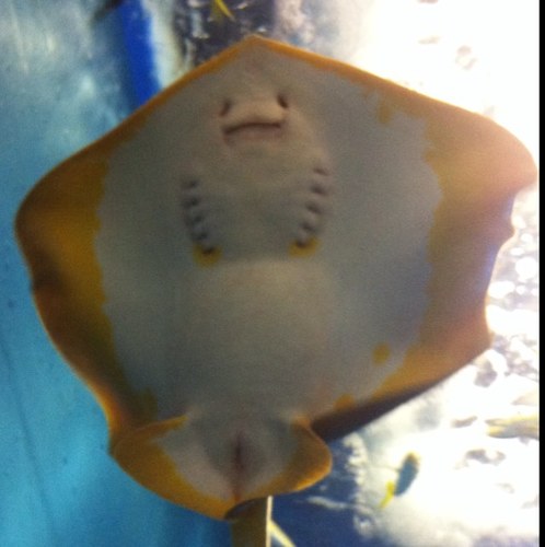 koukadaigaku's profile picture. フォロー100％よろしく(ﾉ∪≦*)ﾉ