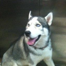 BrahimMarc's profile picture. 