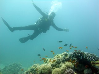 paulsanders909's profile picture. 