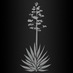 Saeculum Cellars (@saeculumcellars) Twitter profile photo