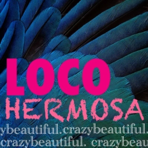 LOCO HERMOSA by @memsohot and @iameyahc
ACCESSORIES | ETC