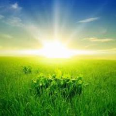 PoweringLevant's profile picture. Following energy sector developments in the Eastern Mediterranean, especially the Israel market.