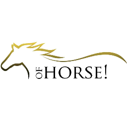 An equestrian blogging extravaganza where you can earn money writing about your passion. It's a blog about horses and all things equestrian!