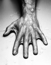 SurfEixample's profile picture. We love surf - We love Barcelona