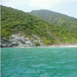 luermaro's profile picture. 