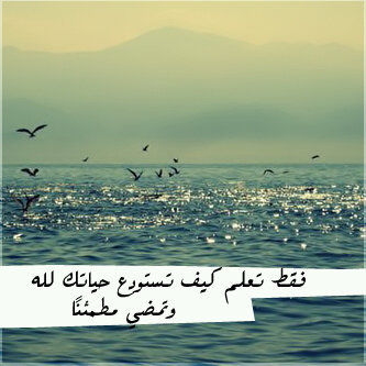 ربي أني متفائله حد السماء السابعه فاكتب لي مآتمنيت مستقبلي رزقي  توفيقي ديني وخاتمتي وعائلتي وأعز مآأملك وارزقني الجنه ونطق الشهاده وانا لله وانا اليه لراجعون ♡