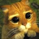 Melissa Molitor - @melissamolitor - Twitter