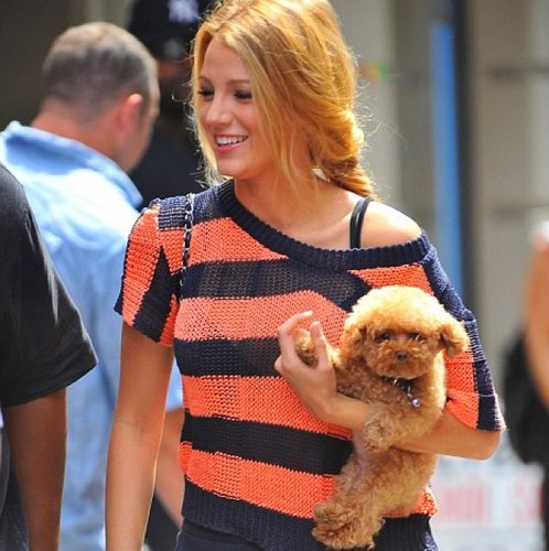 tomuchfunemily's profile picture. he's a cutie. i'm gonna claim him. {18+ RP}