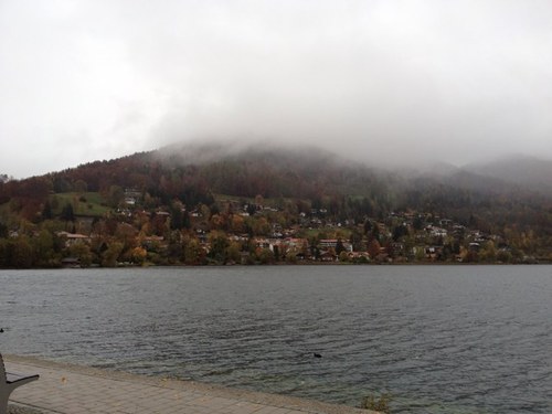 mona_alfuaim's profile picture. 