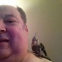 Mark Kernes (@markkernes) 's Twitter Profile