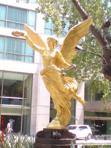 ColCuauhtemoc1's profile picture. De paso