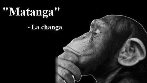 tengo diarrea tengo diarrea
