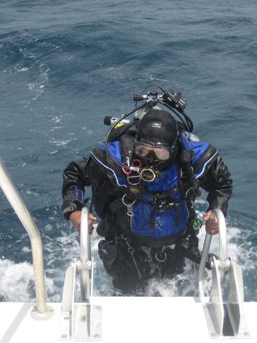 ECoastDiverLLC's profile picture. Dive Business