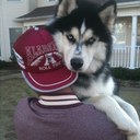 monica snell - @arykcohen - Twitter