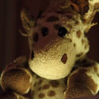 Neil Dunne (@dunneneil2000) 's Twitter Profile