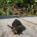 Dan File - @d_t_file - Twitter