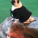 Alex Tyrrell - @AlexTyrrell2 - Twitter