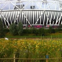 Claire (@clairebear021) 's Twitter Profile