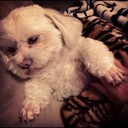 Eve Cameron - @EveCame95269970 - Twitter