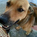 Jose Manuel Oliveros - @Joseougar - Twitter