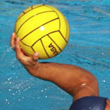 altivec's profile picture. 