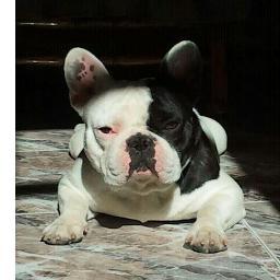 TXEMAGARCIAONE's profile picture. 