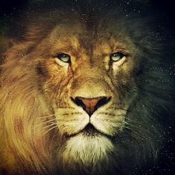 SagaCitou's profile picture. Das páginas de um livro, às páginas dos nossos corações. Frases de livros, filmes e notícias. Adm: Hay, Annie, Mags, Mari e Vivi.