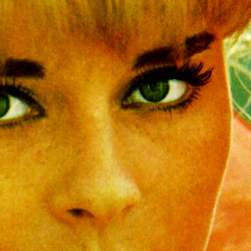 video_director's profile picture. Professional video director  and general pro gear freak.