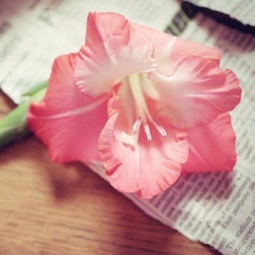 اللهم اجعل همي الاخره 