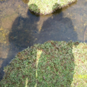 Steve Dewar - @SteveDewar3 - Twitter