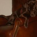 Will Morgan - @willbur08 - Twitter