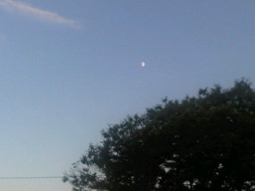 magarinosmoa's profile picture. 