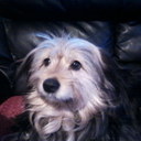 Ursula Perez - @ursula524 - Twitter