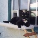 Dea Smith - @Goldea - Twitter