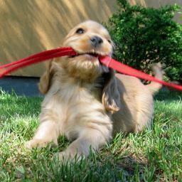 ABBeYAusTen's profile picture. student at med school :) belives in miracles :) and life deserve to live it ryt :)