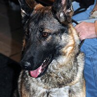 RichJackson (@richjackson) 's Twitter Profile