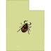 Utah Lyme Disease (@utahlyme) Twitter profile photo Utah Lyme Disease (@utahlyme) Twitter profile photo