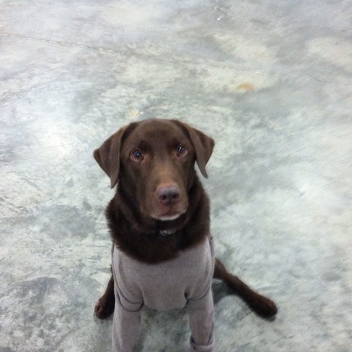 TCCARLL's profile picture. 