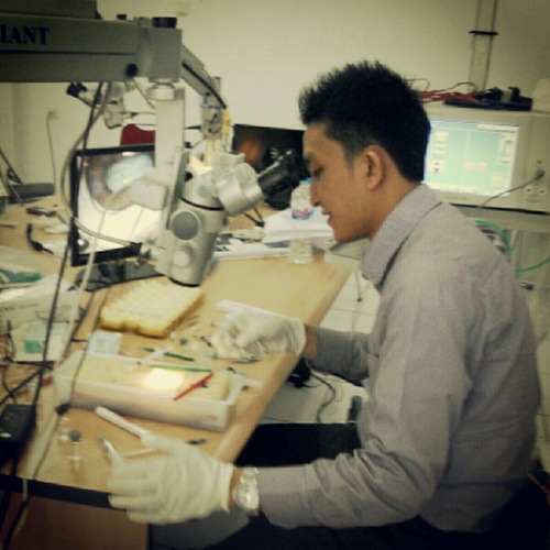 suryadhy's profile picture. 