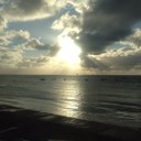 Gerry Leonard - @polarbearjersey - Twitter