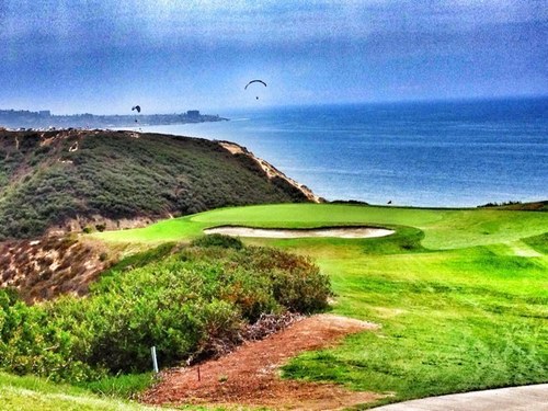 father to a kidney warrior, husband, turf nerd, and golfer.