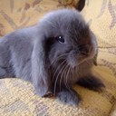 Danny Hsiao - @dkchsiao - Twitter