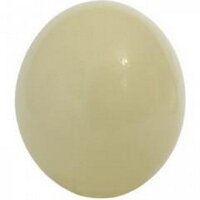 Andrewsarchus (@sarchus00) 's Twitter Profile