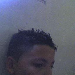 mahmoudRefex's profile picture. 