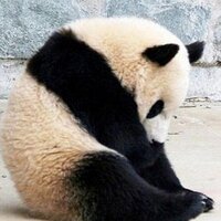 uda uda (@uga) 's Twitter Profile