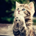 Eva Field - @EvaCarinaField - Twitter