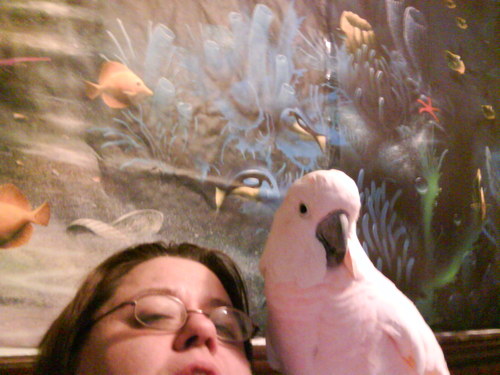 tinapoulin's profile picture. 