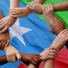 baloch_omar's profile picture. 