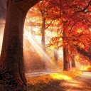 Sharon Peacock - @1954Sharond - Twitter